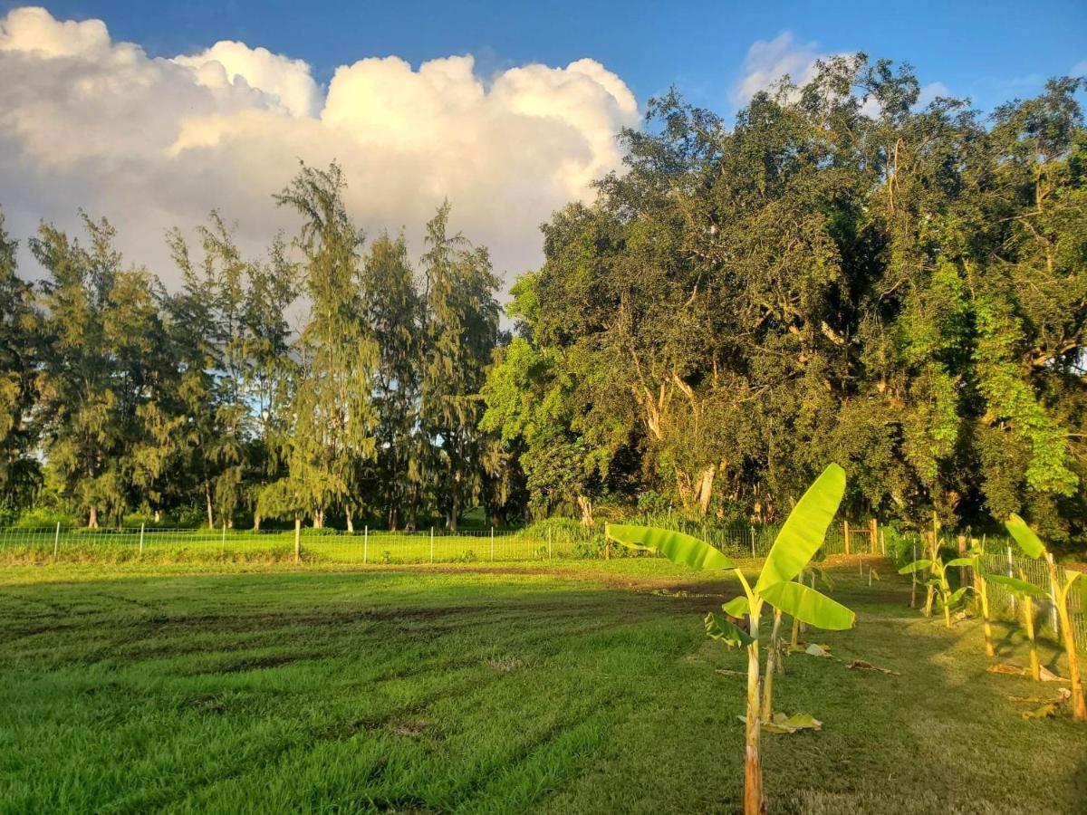 Maleka Farm: Tent Glamping North Shore Oahu Laie Esterno foto